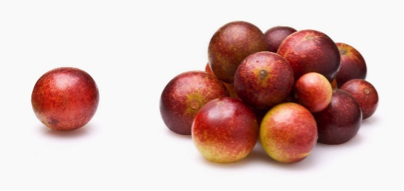Camu Camu powder