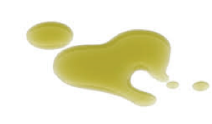 Hemp Seed Oil